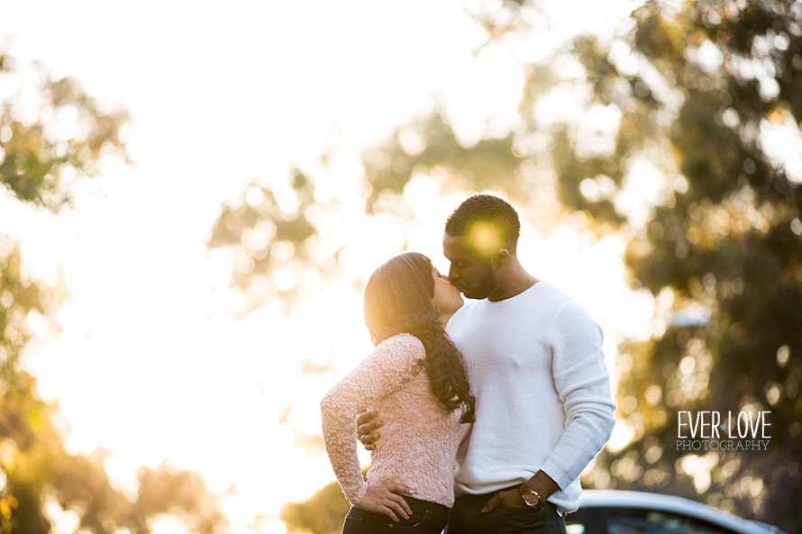 wedgewood-balboa-park-engagement-photos-010