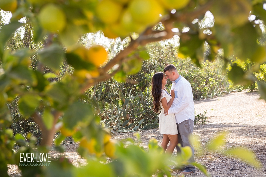 0161leo carrillo ranch family photo session