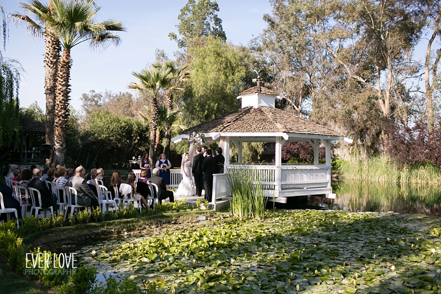 0451wedgewood at the orchard wedding photos